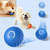 Petvone Smart Interactive Dog Ball