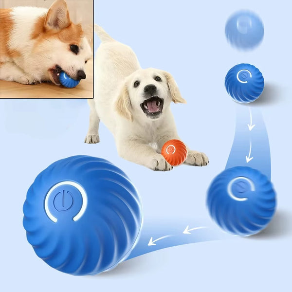 Petvone Smart Interactive Dog Ball