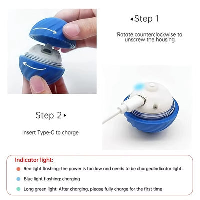 Petvone Smart Interactive Dog Ball