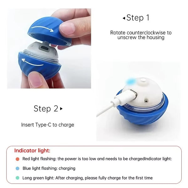 Petvone Smart Interactive Dog Ball